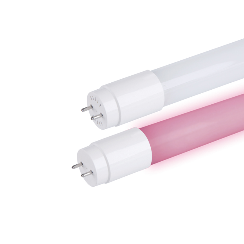 Tiub LED lampu makanan segar T8