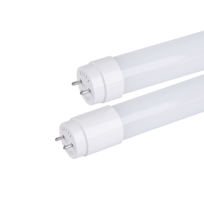 T8 LED Glass Tube (Brazil/Latin America) - Input sampingan tunggal/berganda