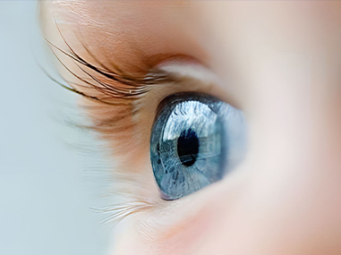 Xin Guang Yuan (Lampu Baru) Lighting Technology Co., Ltd.